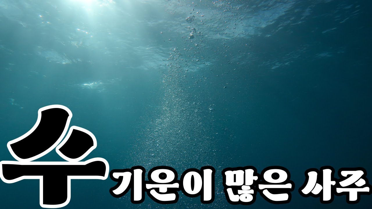 『수(水) 기운이 많은 사주』 水의 태과｜초급