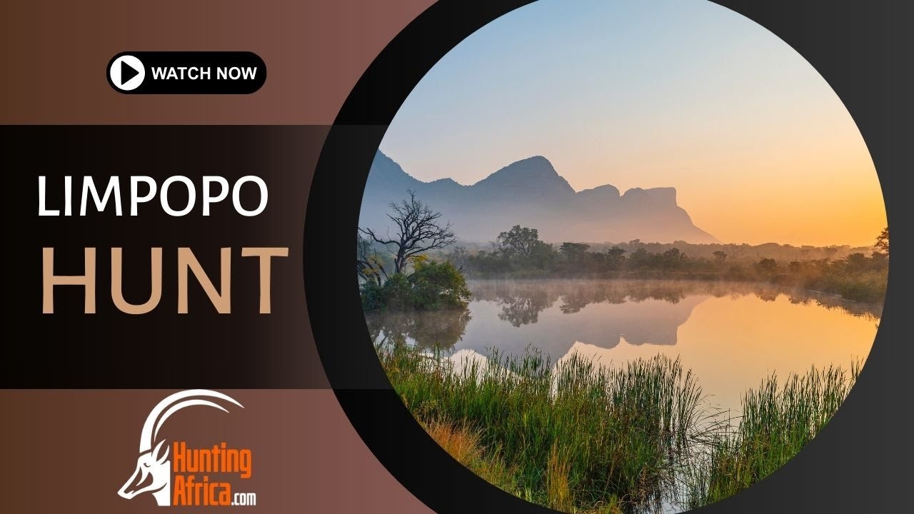 Epic Full African Safari | Limpopo Valley | 2024