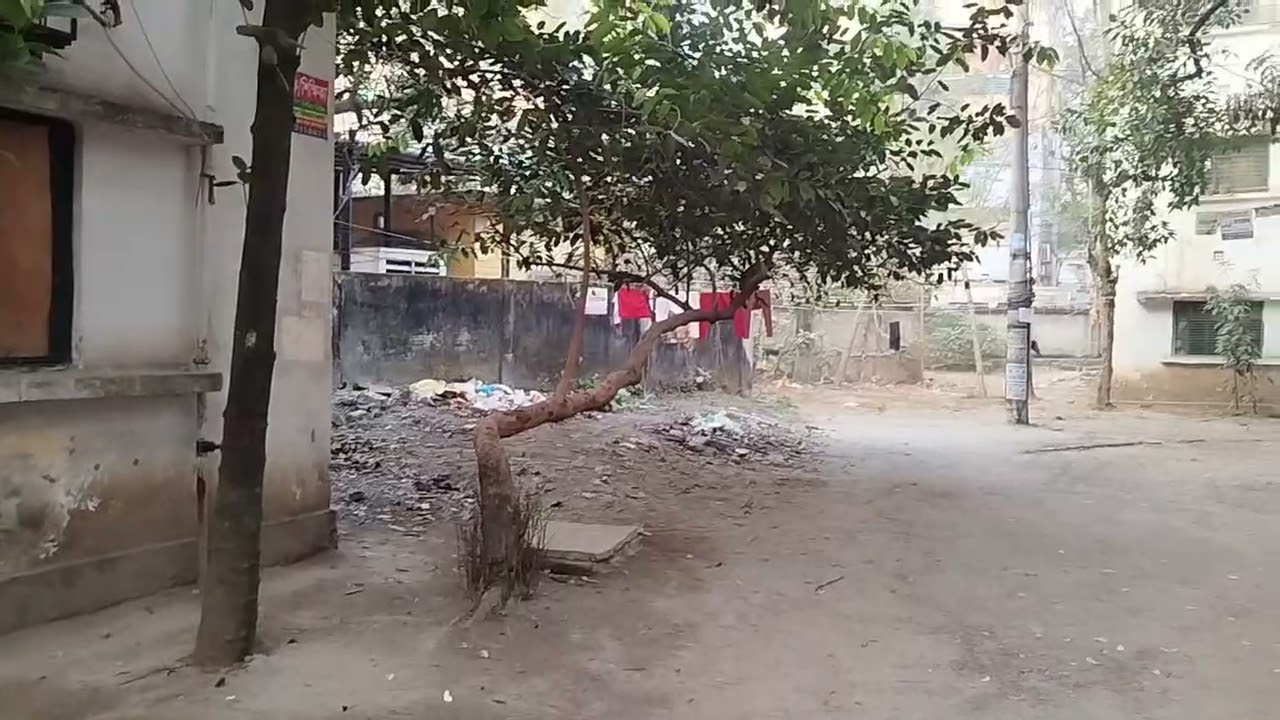Azimpur Government Stuff Quarter (আজিমপুর সরকারি). কলোনি, দক্ষিণ)