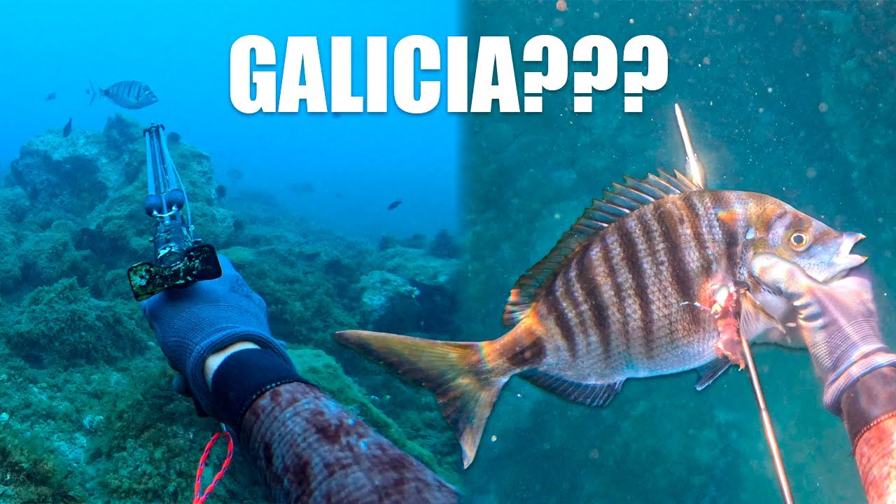 Una JORNADA algo DIFERENTE | PESCA SUBMARINA