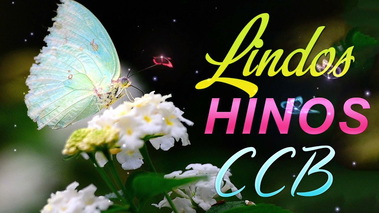 BELOS HINOS CCB 🌹 Hin&aacute;rio 5 🌷 Top Hinos Cantados CCB#
