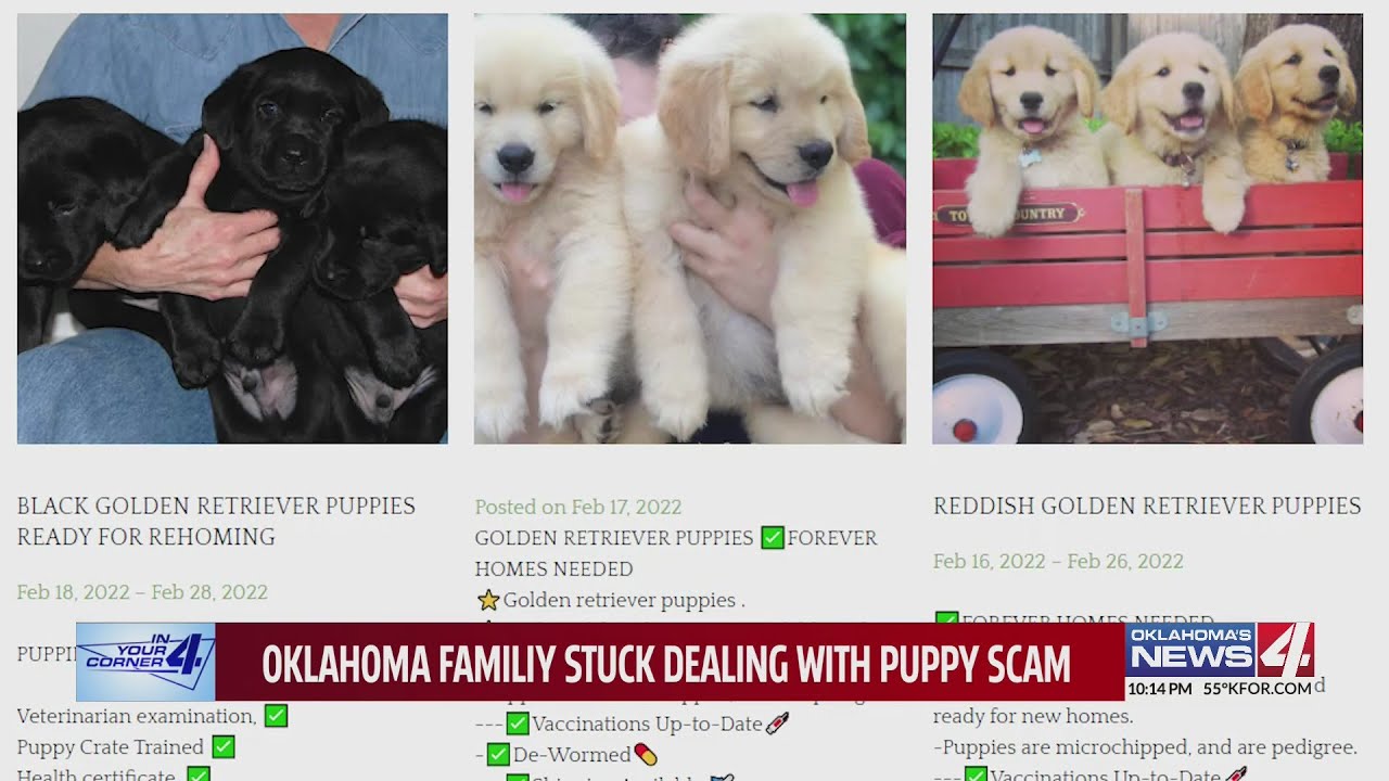 Oklahoma family stuck dealing with puppy scam
