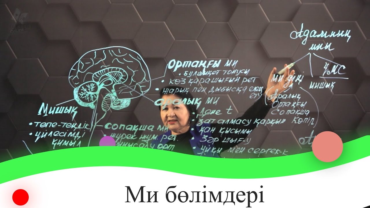 Ми бөлімдері. 7 сынып.