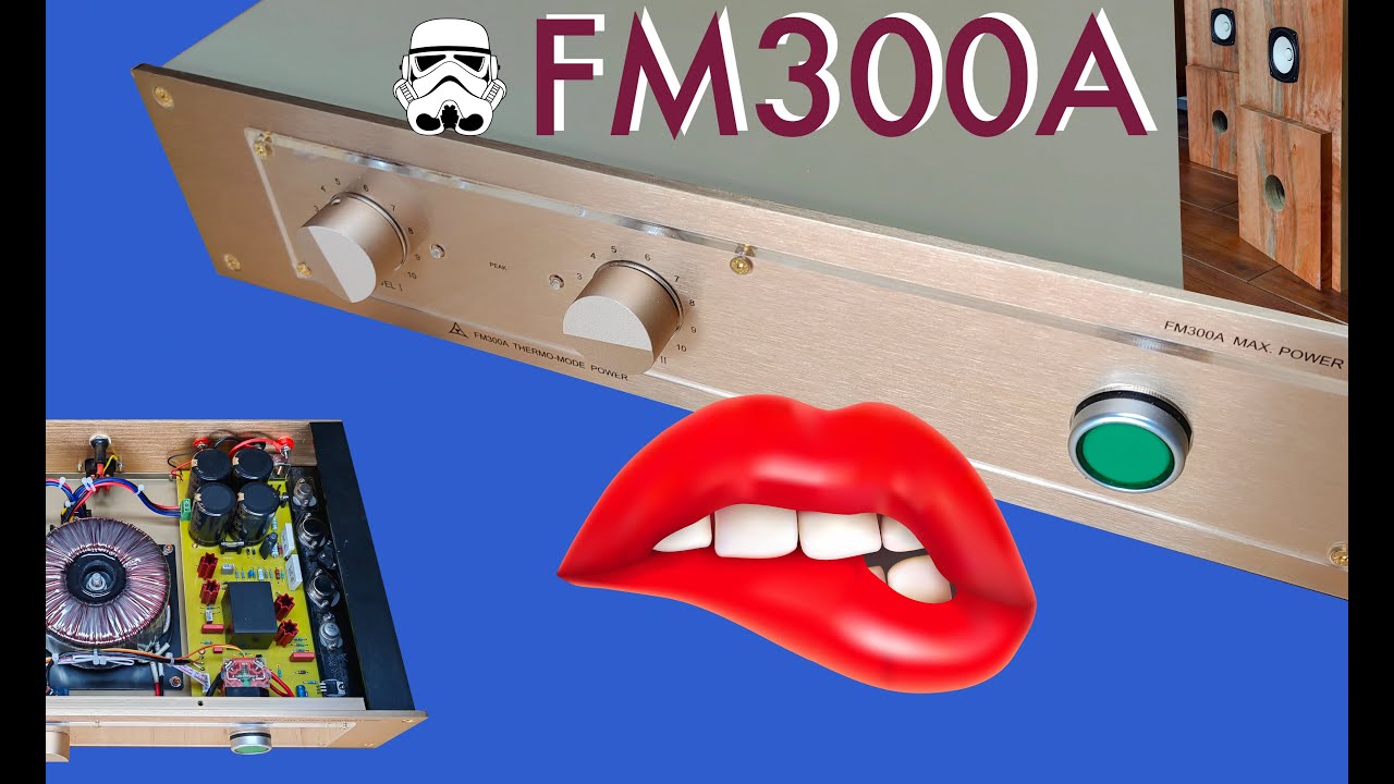 Is the FM300A Output Stage the best Amplifier at all ? 🤔 (English)