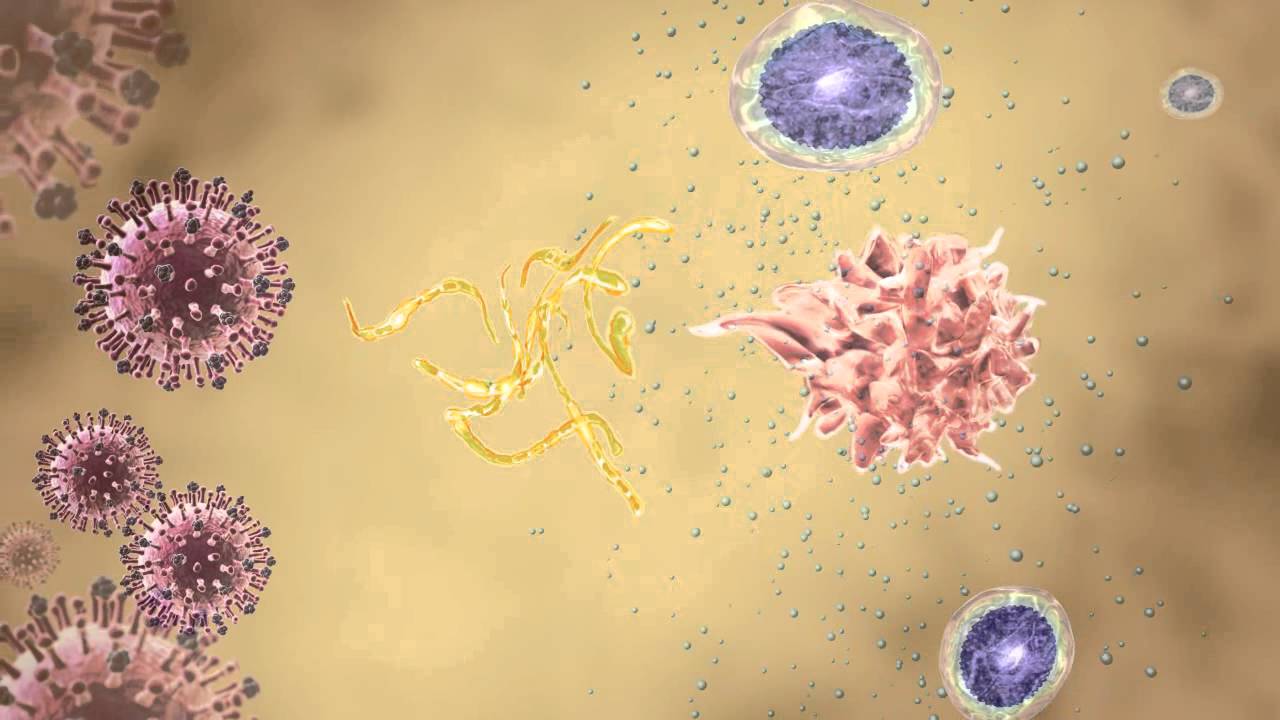 3D animation: Interferon and Macrophage