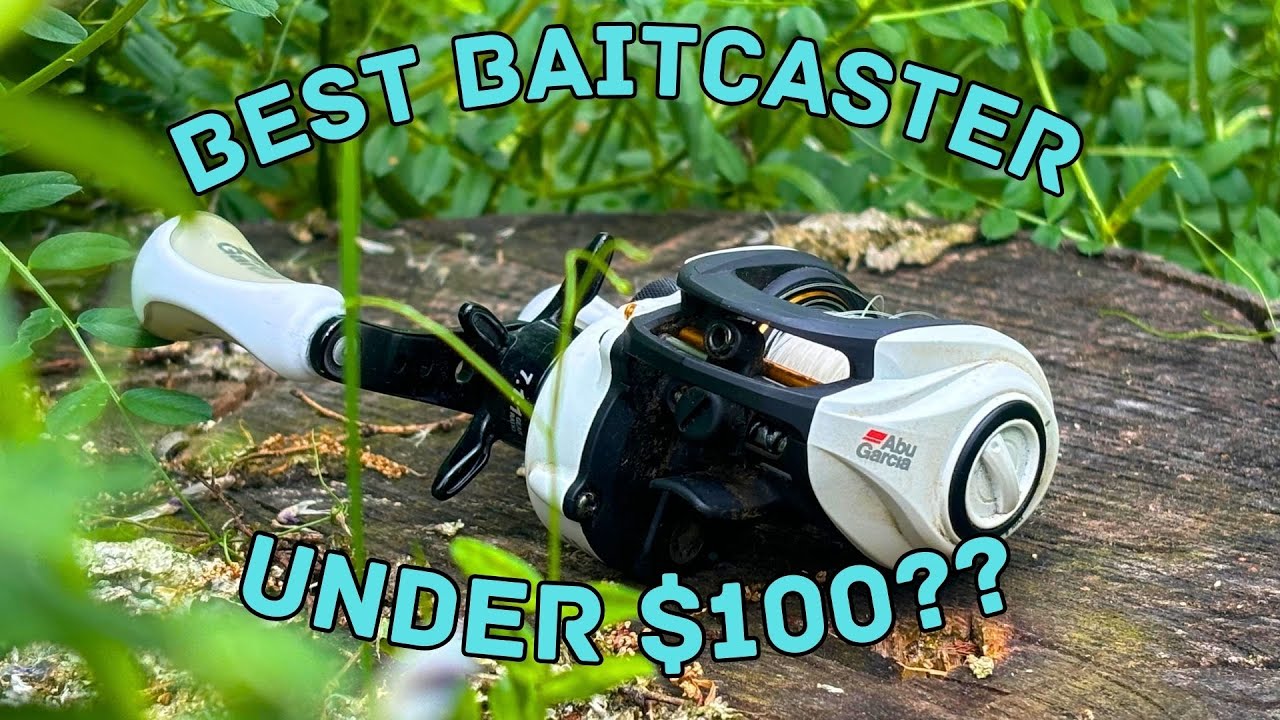 Abu Garcia MAX PRO Baitcasting Reel Review AFTER ONE YEAR [NOT SPONSORED]