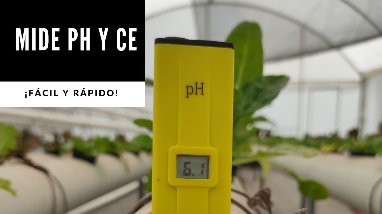 Cómo medir pH y CE/La importancia de medir pH y electroconductividad en Hidroponía.