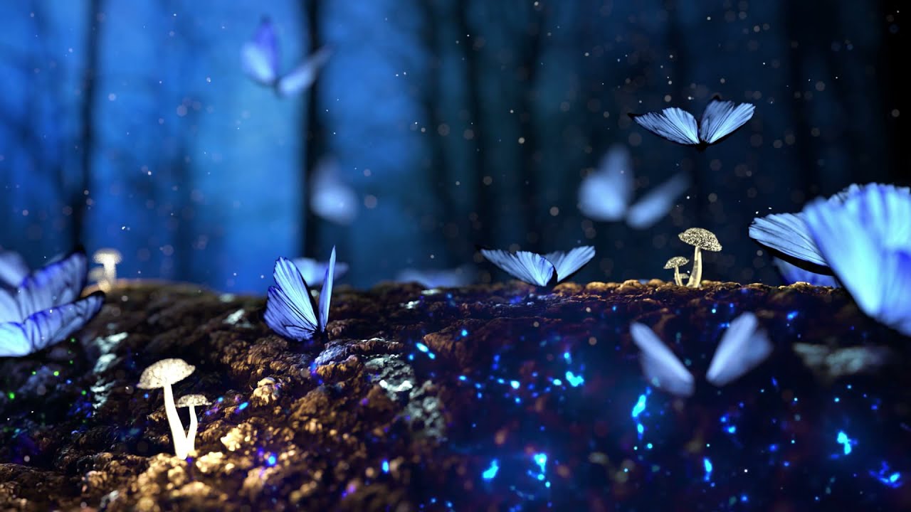 Buddha's Flute: Healing Forest