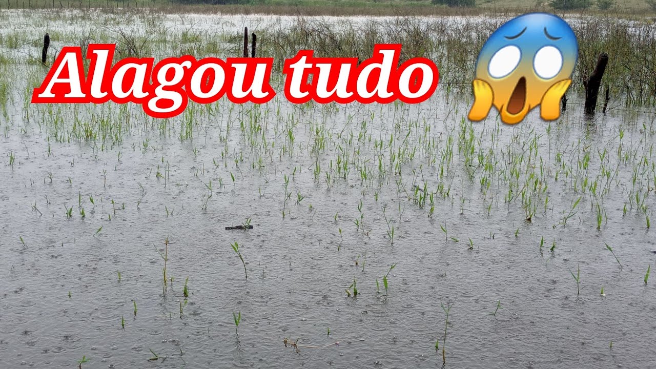 Muita Chuva Aqui Na Nossa Região 