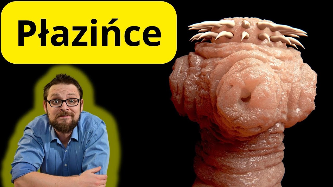 Płazińce i tasiemce Upiorne, płaskie robaki, które przyprawiają o dreszcze! Robaki płaskie Tasiemiec