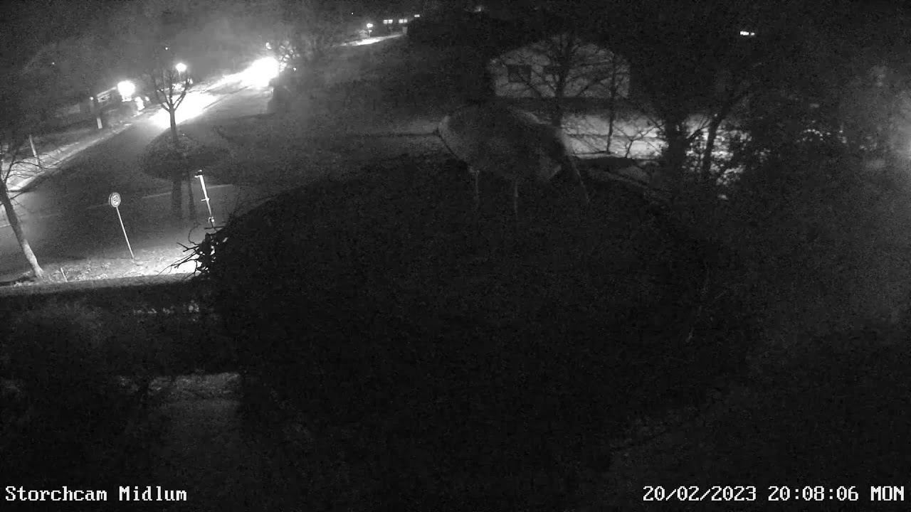 Midlum Storchcam