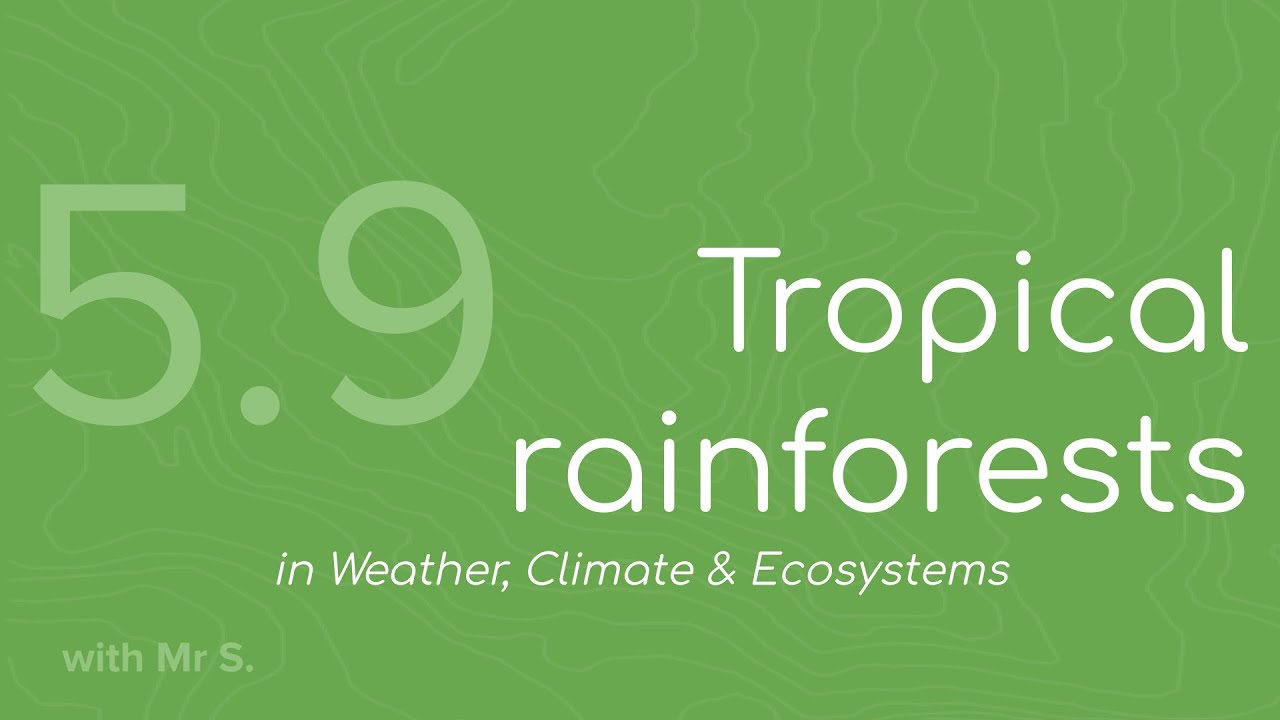 Tropical rainforests (FMGL5.9)