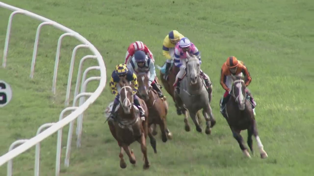 XANTHE : THE NAWAB M ARSHAD ALI KHAN MEMORIAL CUP (72)