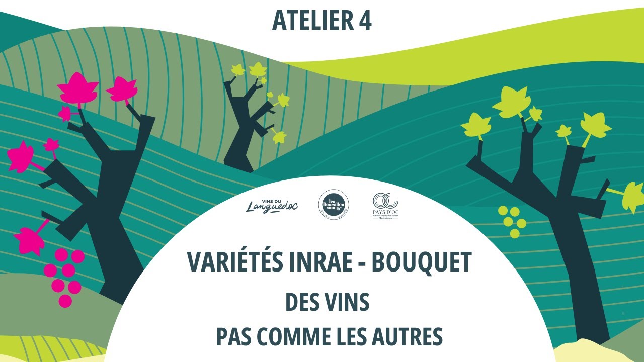 Variétés INRAE-Bouquet, Atelier 4 : Des vins pas comme les autres