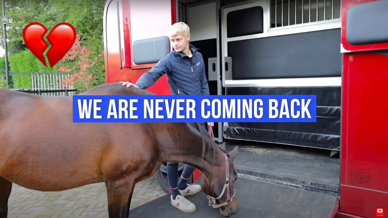 THE DAY WE MOVED OUR HORSES