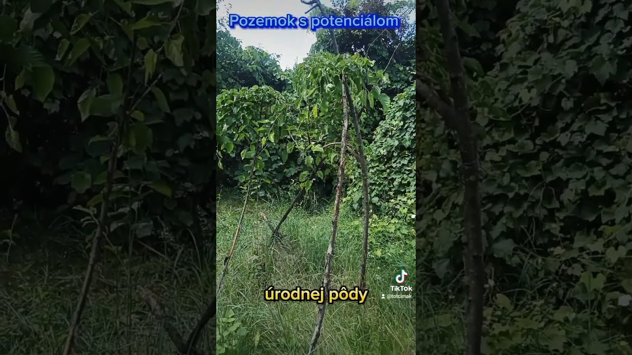 Pozemok v Humennom na predaj