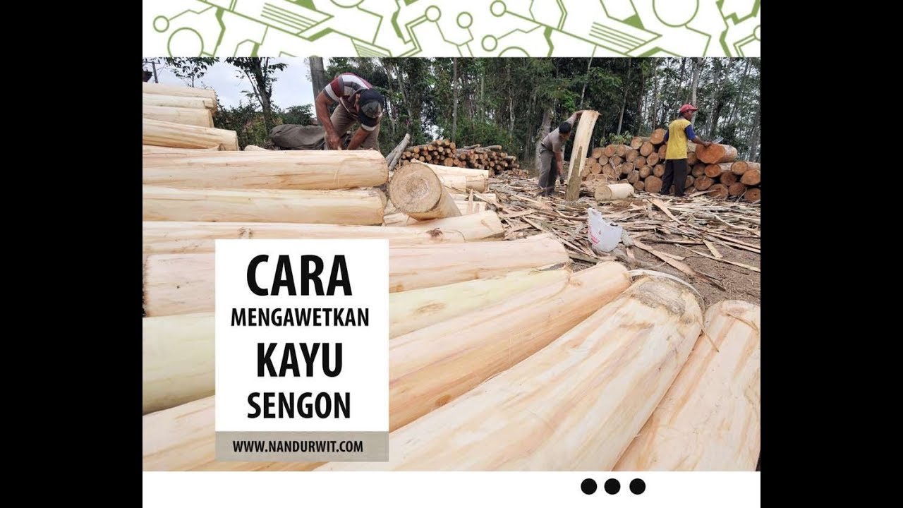 cara mengawetkan kayu sengon