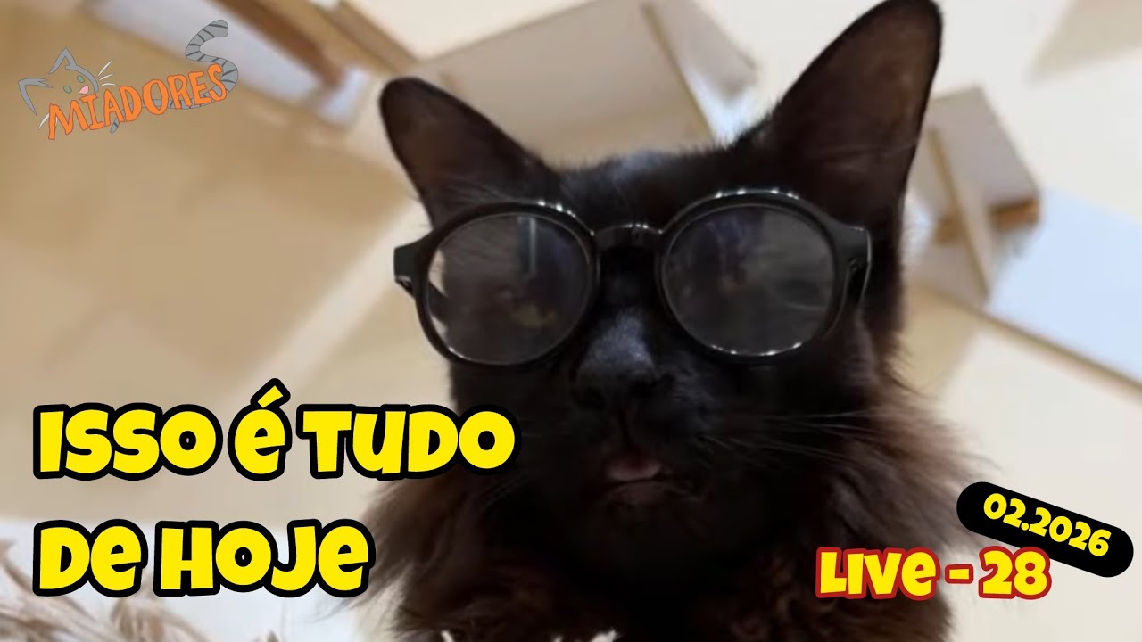28 - Nix presa, Kira reservada e Shadow de óculos 