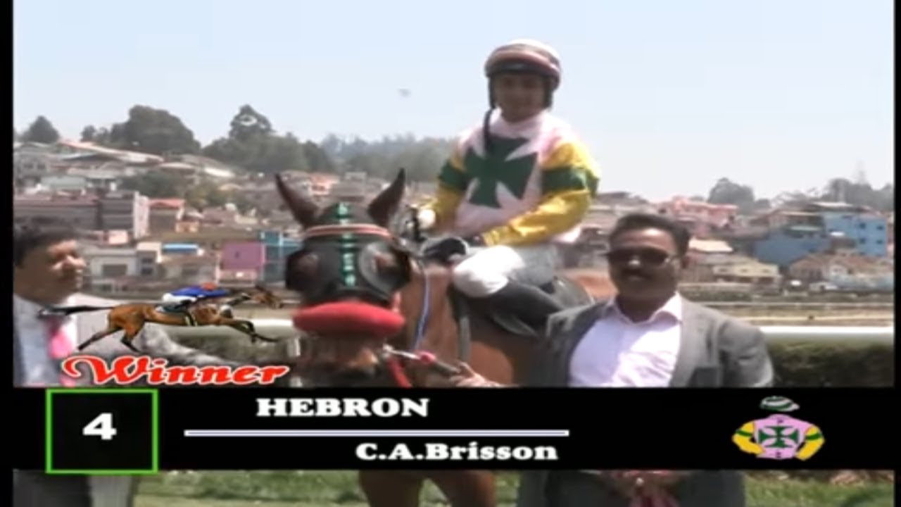 Hebron with C A Brisson up wins The Greyjoy Plate 2019