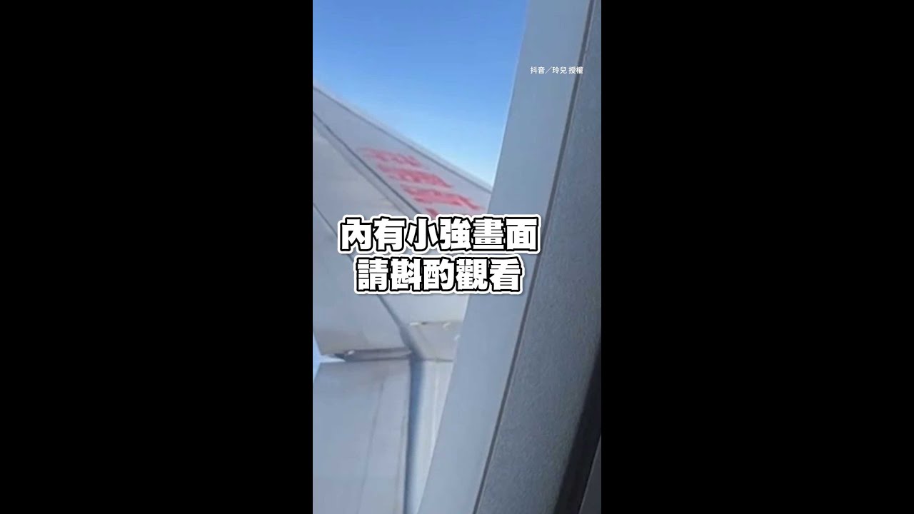 小強跟著上飛機囉！趴在窗邊3小時超崩潰QQ #寧波 #蟑螂 #Shorts