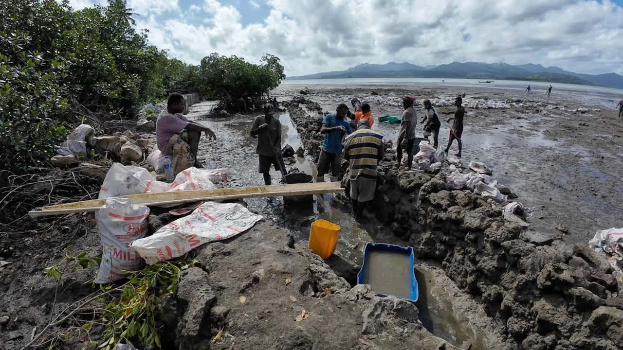 The Village Seawall Project: The Next Phase🇫🇯