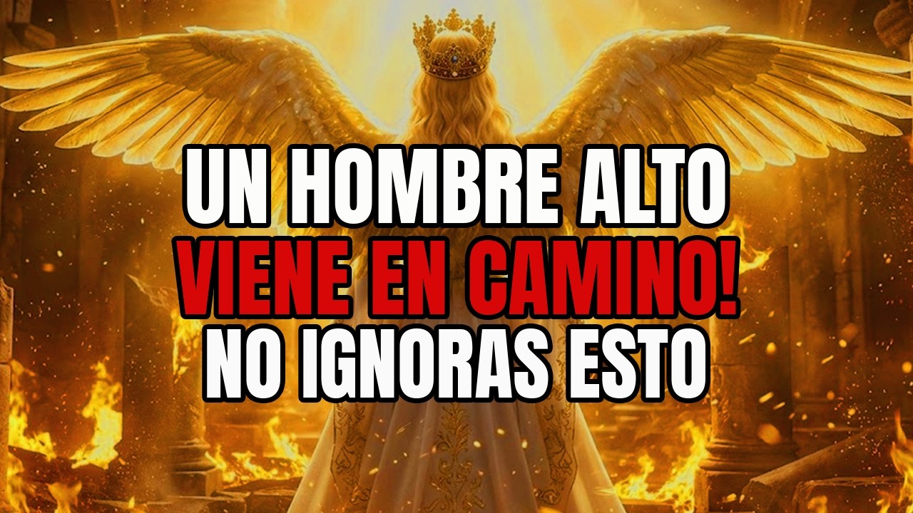 Elegidos: el hombre alto se acerca—no se pierdan lo que deben saber ahora mismo. ⚡👀