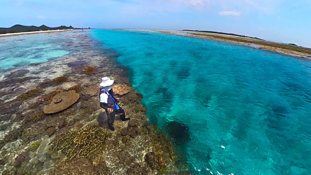 5種類以上の魚が大漁に入れ食いする水路の釣りがヤバかった…