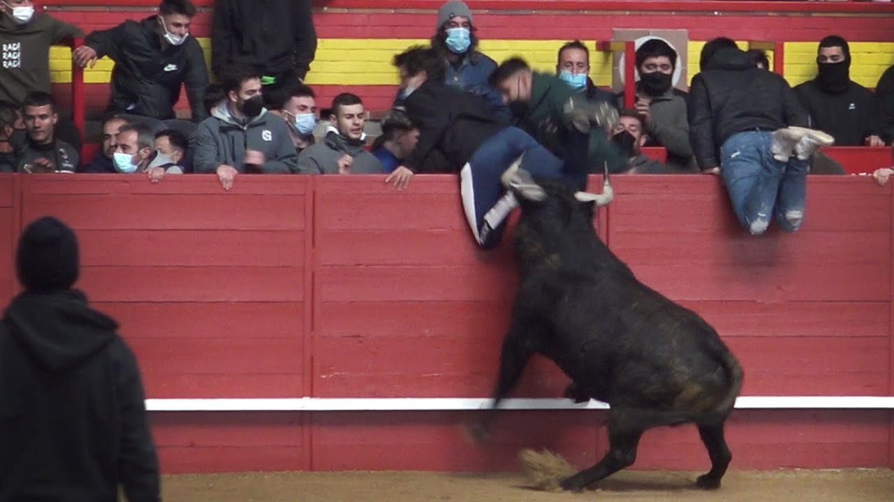 Valdemorillo 2022 Encierro del Sábado