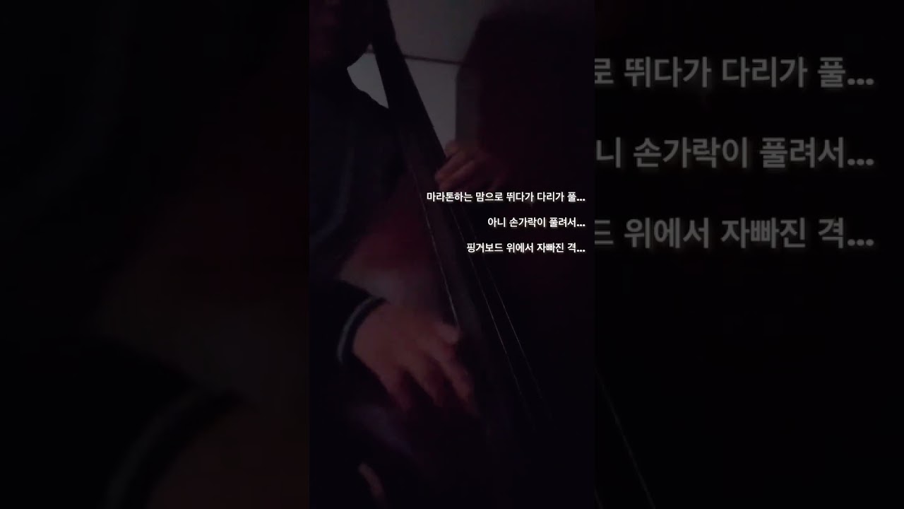 #콘트라베이스
