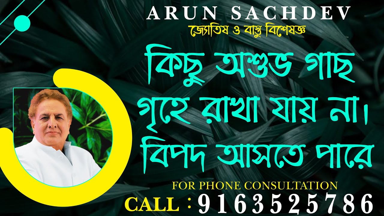 কিছু অশুভ গাছ গৃহে রাখা যায় না। বিপদ আসতে পারে  !!!!