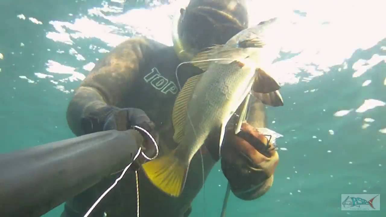 pescasub : Corvina all'agguato - Claudio Basili