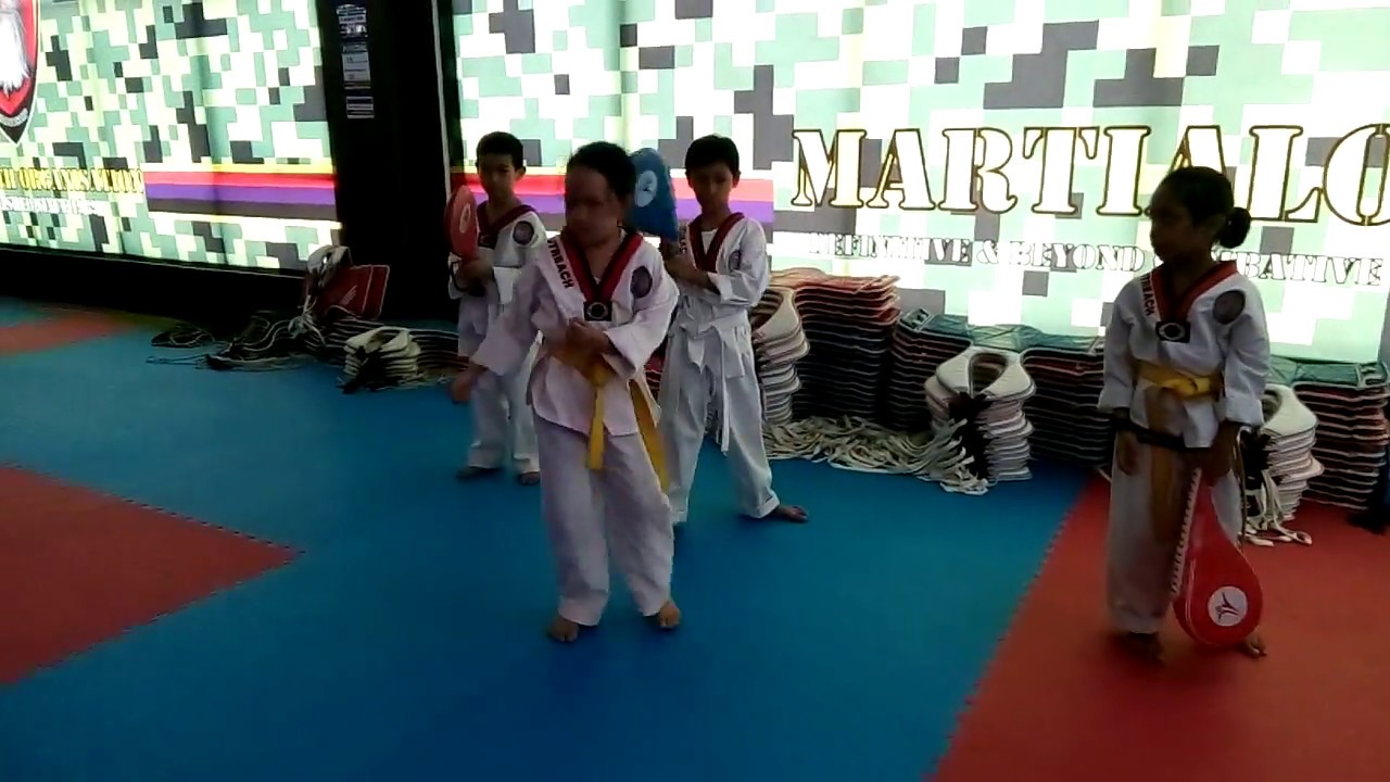 TAEKWONDO WTF THE JUNIORS1