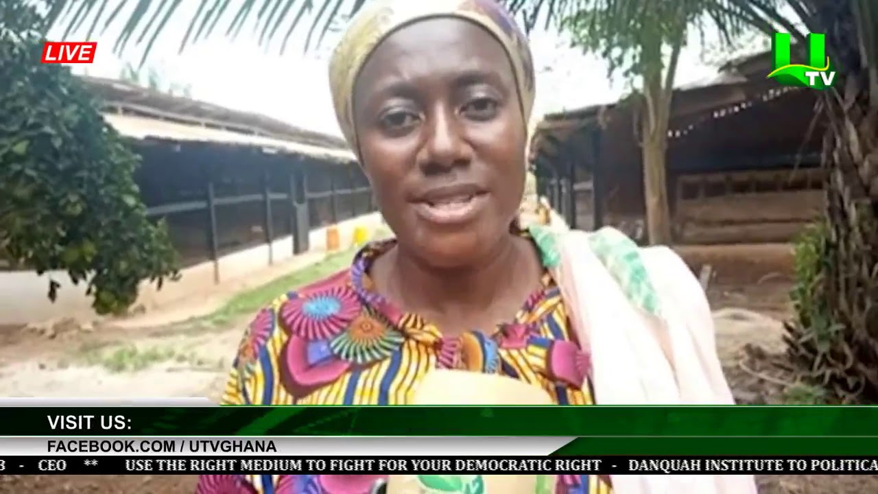 Decrease In Poultry Products Beyond Industry Players – Dormaa Poultry Farmers Association