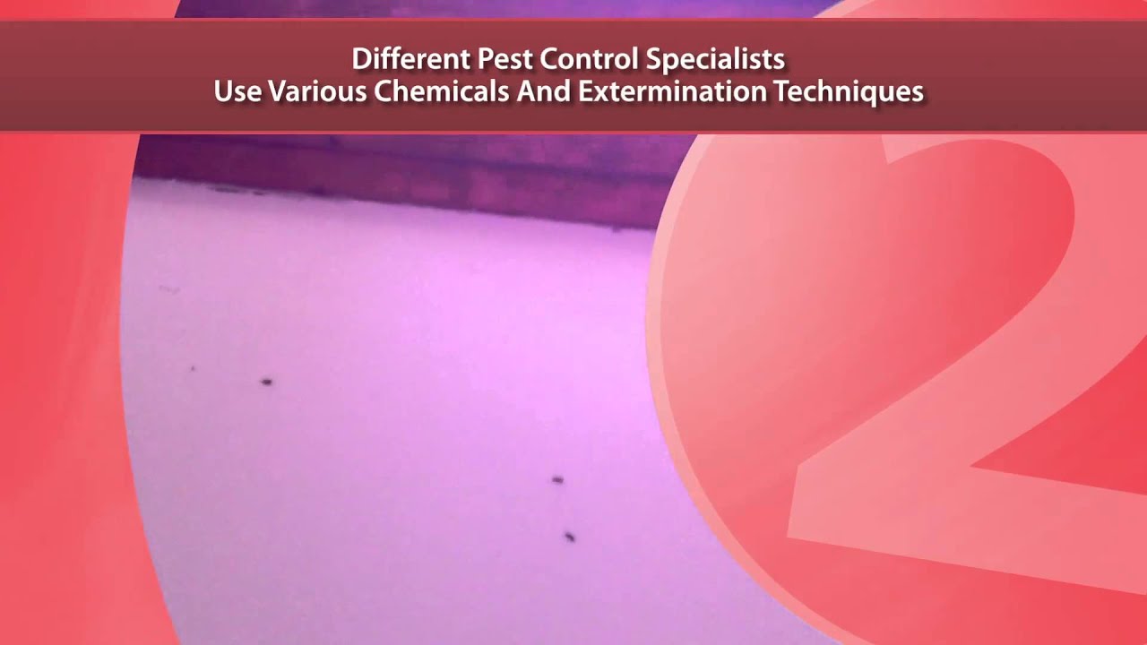Heat Treatment for Bed Bugs|Bed Bug Pest Control|(877) 445-2847
