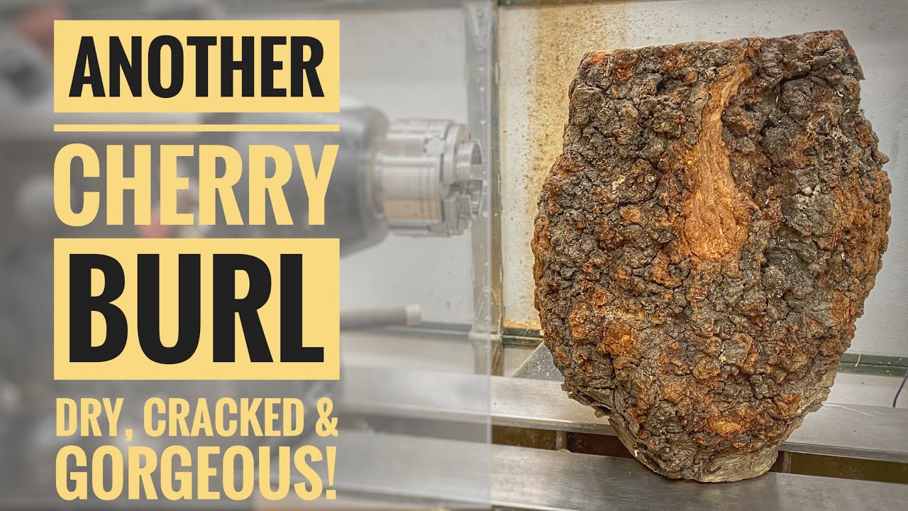 Woodturning: Super Dry and Cracked Cherry Burl - Will it Hold Together!?