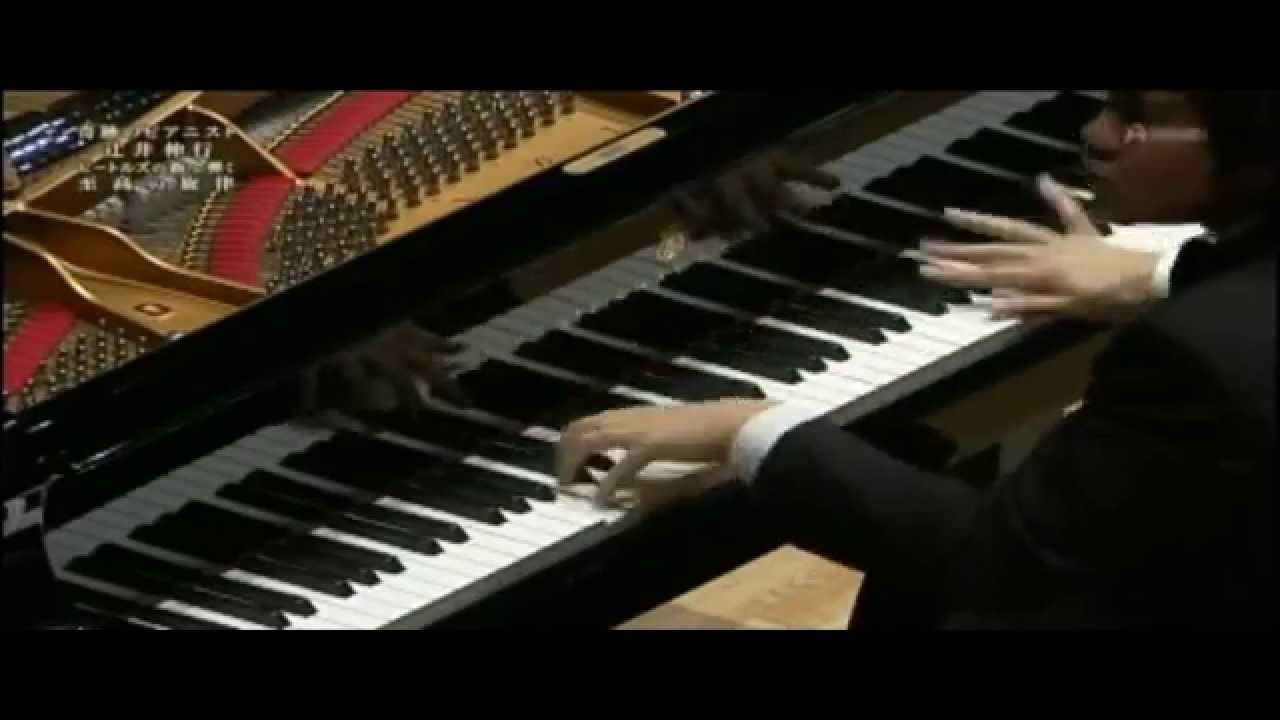 Nobuyuki Tsujii 辻井伸行 - Ravel Scarbo　ラヴェル スカルボ