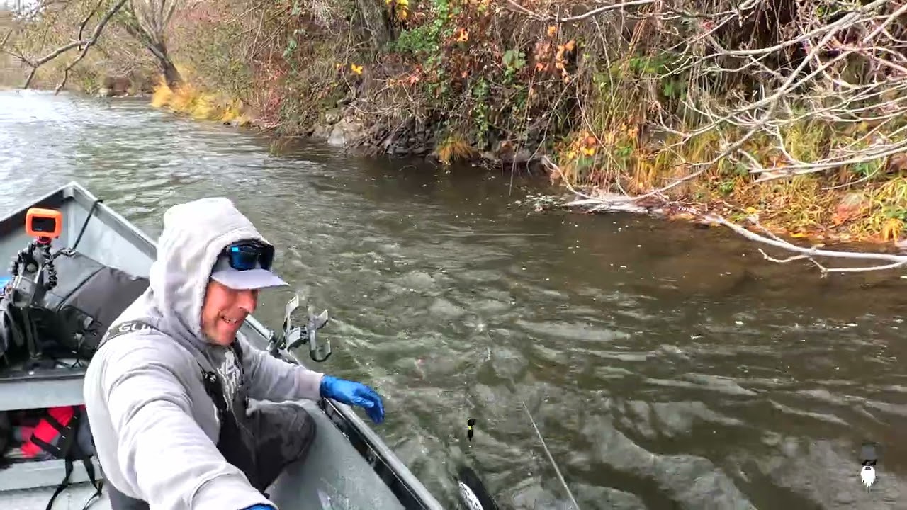 STEELHEAD vs SALMON - Klickitat River