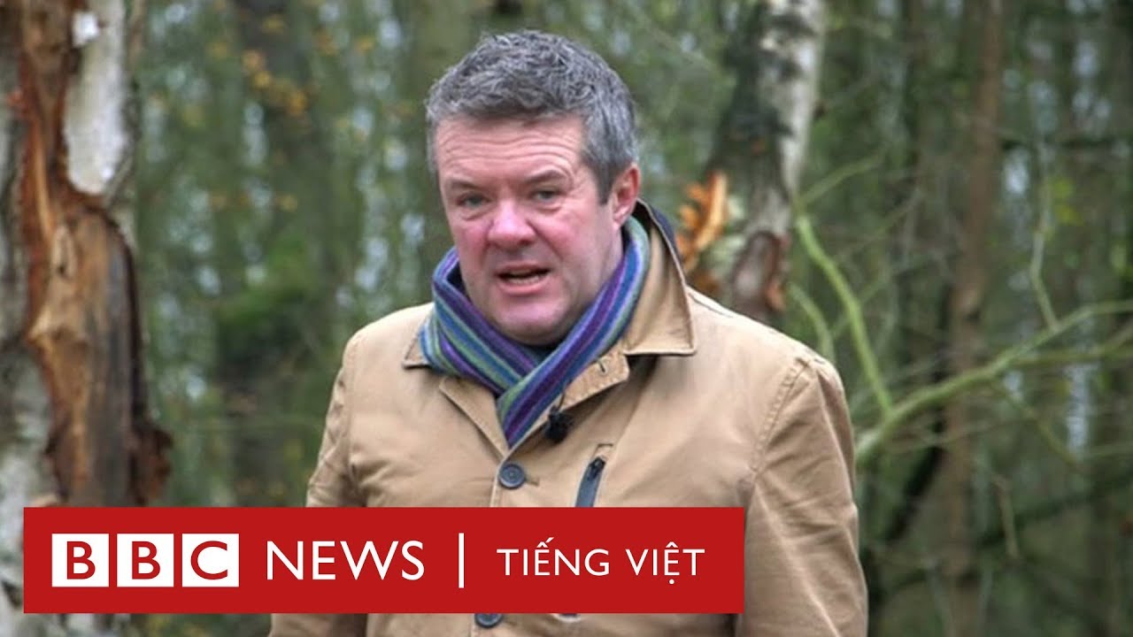 Hành trình đi lậu từ Vietnam City ở Pháp đến Anh Quốc - BBC News Tiếng Việt