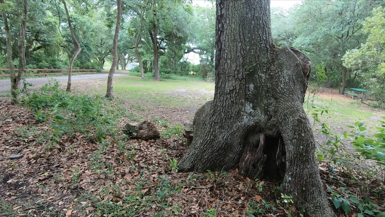 Withlacoochee River Park RV Campground