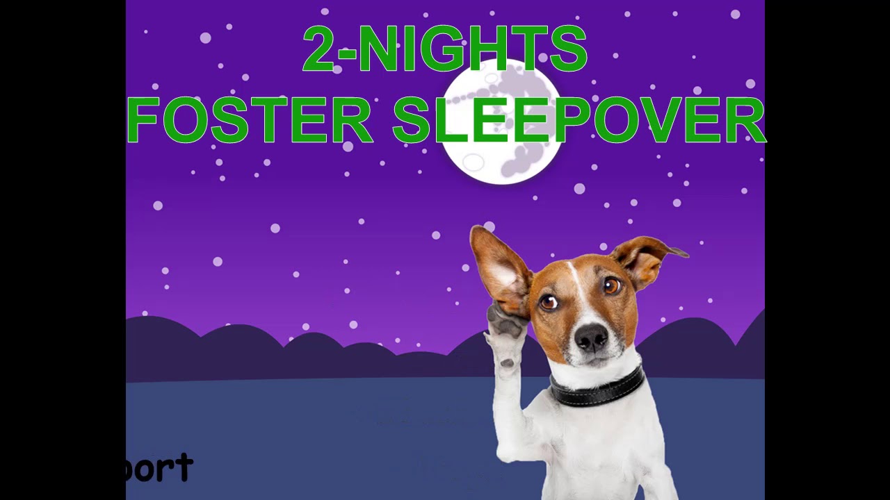 Silver Award - Pasadena Humane Society Foster Program