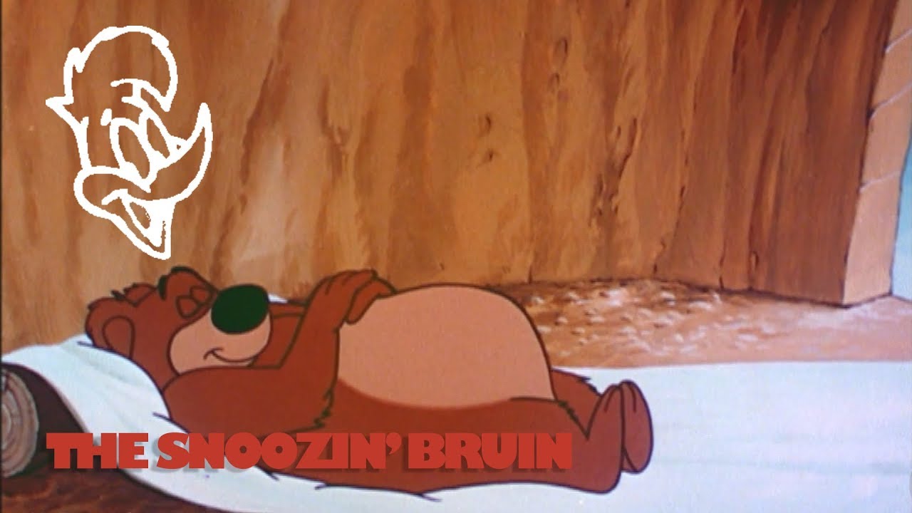 Woody Woodpecker in The Snoozin' Bruin | A Walter Lantz Production