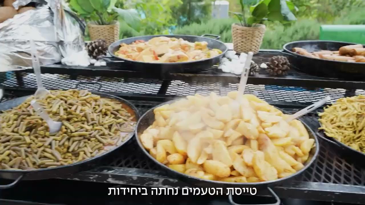 סיכום פעילות מבצע ״שאגת הארי״ | שבוע 1
