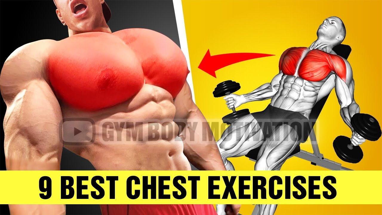 9 Effective Exercises To Build a Massive Chest