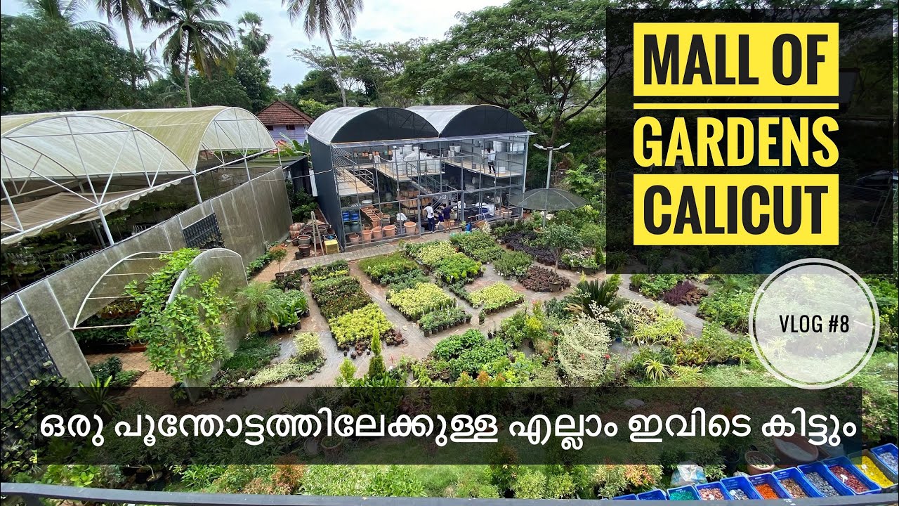 Mall Of Gardens kozhikode | calicut shopping mall | best collection of indoor and outdoor plants