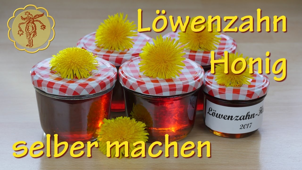 Löwenzahn-Honig selber machen - vegan