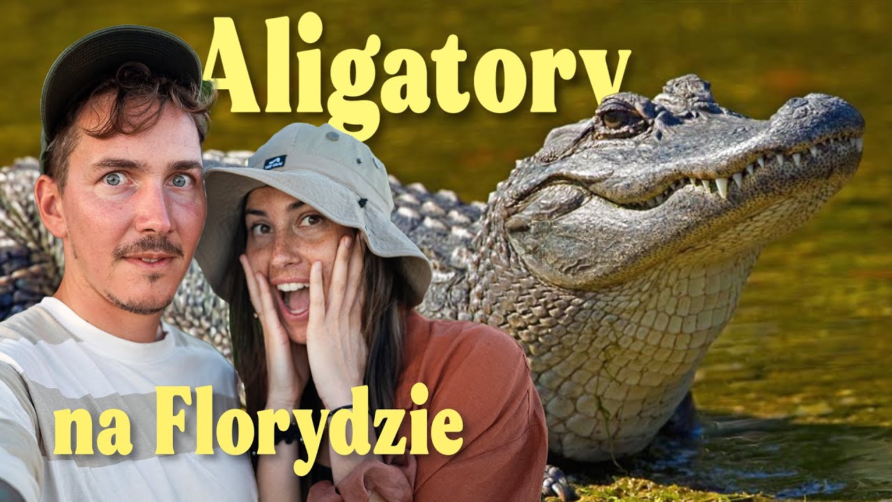 Kamperem po USA: pływamy z aligatorami na Florydzie!