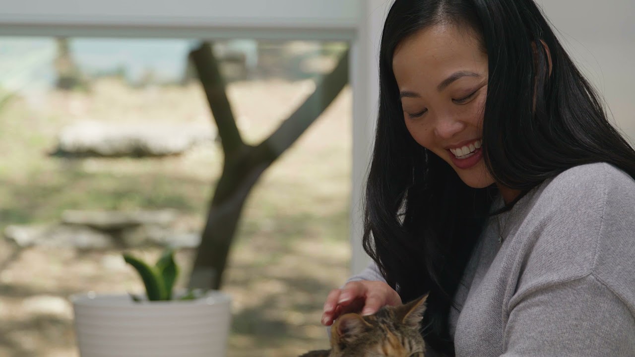Amazon Product Video - Pet Product Video - Magic Kitty Litter