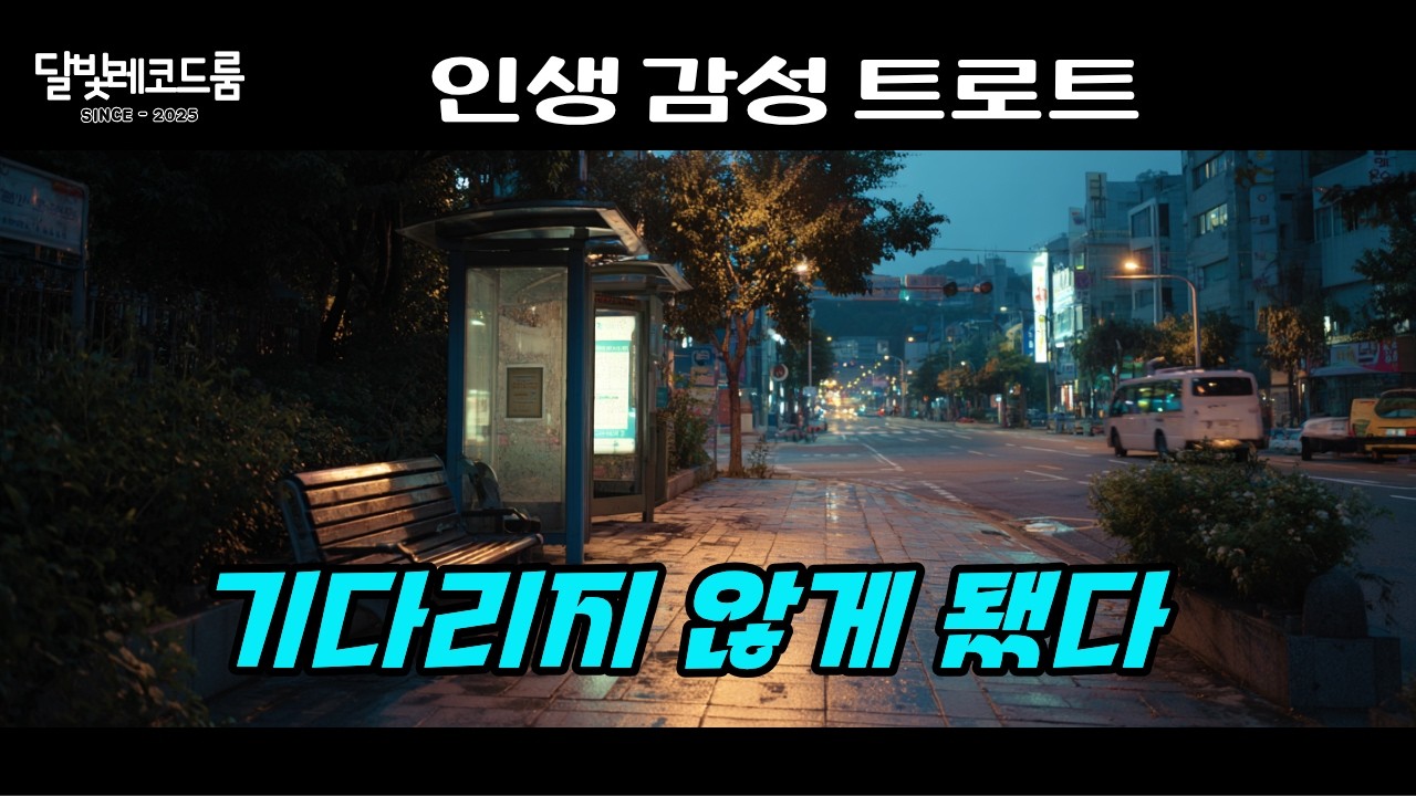 기다리지 않게 됐다 | 인생 감성 트로트 | 달빛레코드룸