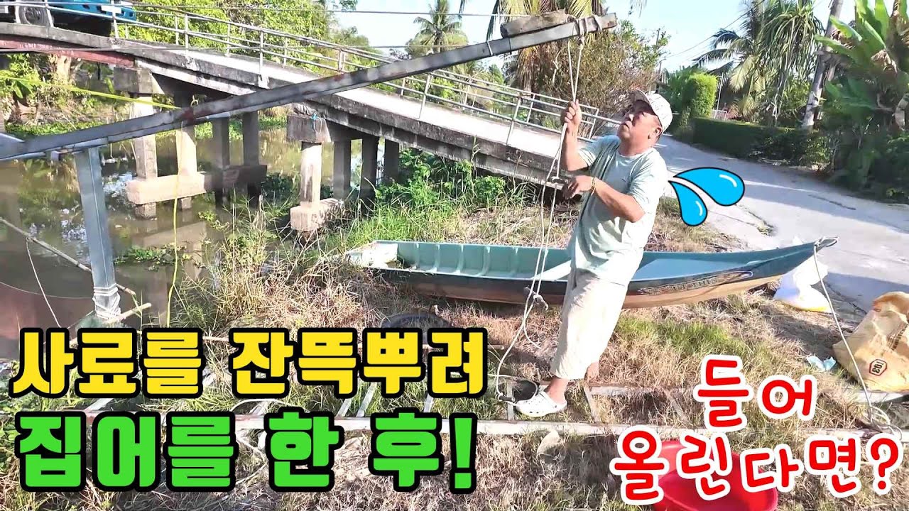 베트남수로 사료뿌리고 물고기를 잡는데...(kiengiangtv)