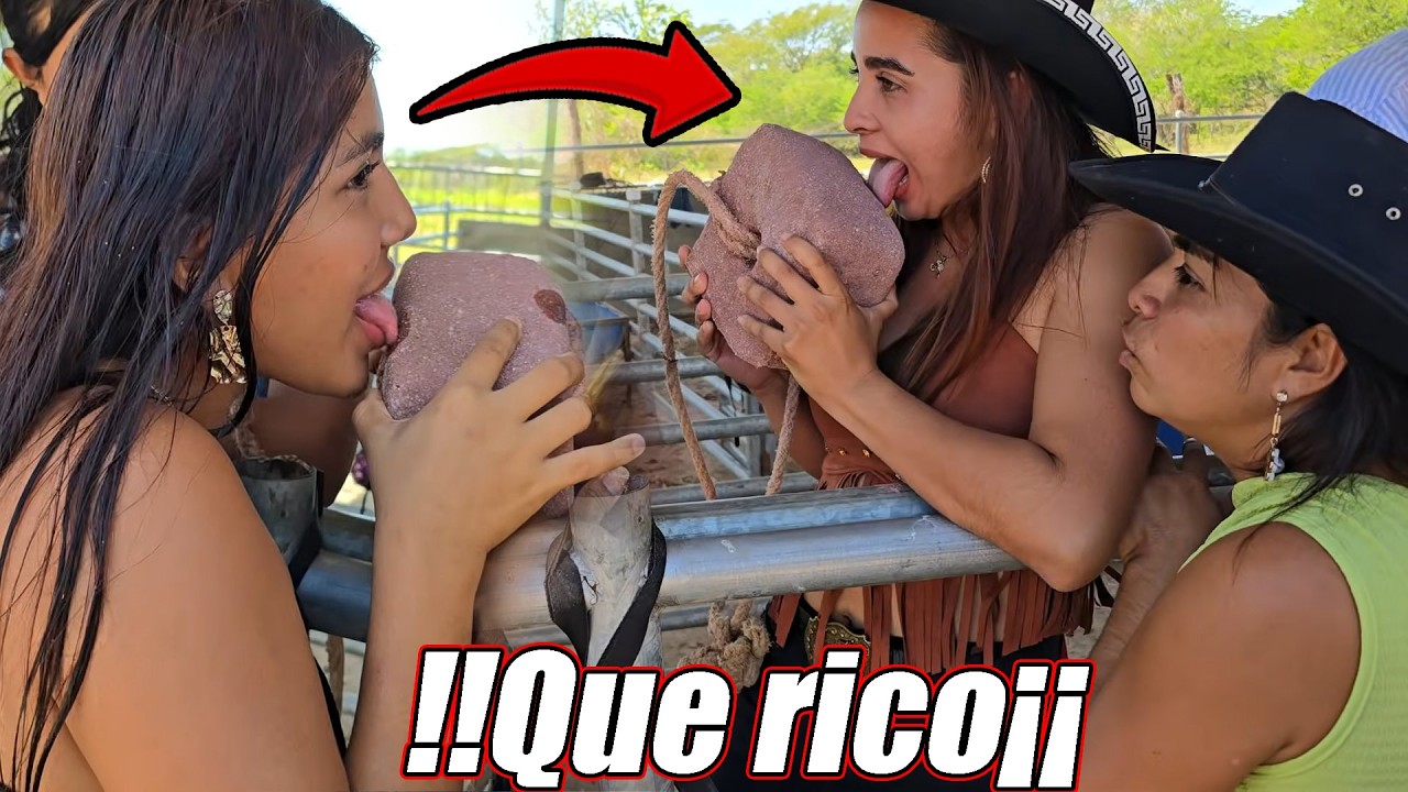 Pocas se atreven a probar el bloque de sal 😂